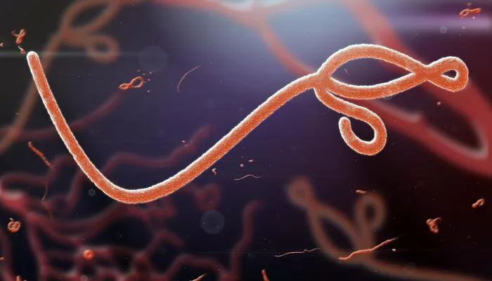 Kenya Strengthens Ebola Surveillance After Outbreak in Uganda