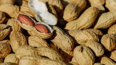 Health Benefits of Peanuts in Winter, Why do We Need It?