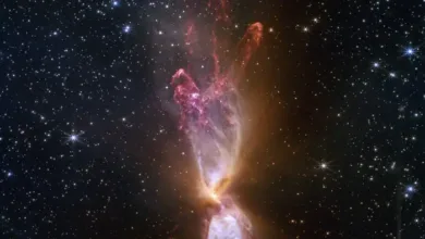 Butterfly-Shaped Nebula Formed by Two Chaotic Young Stars