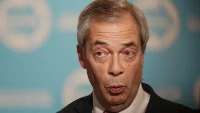 Farage Criticizes Zelenskyy’s Attire, Sparks Debate on Diplomatic Etiquette