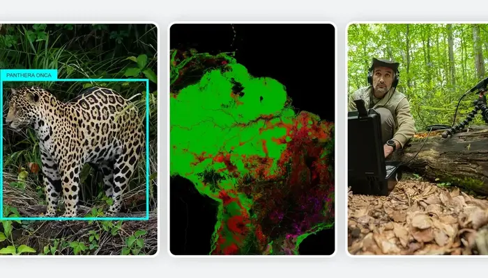 Google Uses AI to Drive Nature Conservation