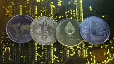 Pakistan Forms Crypto Council to Regulate Blockchain