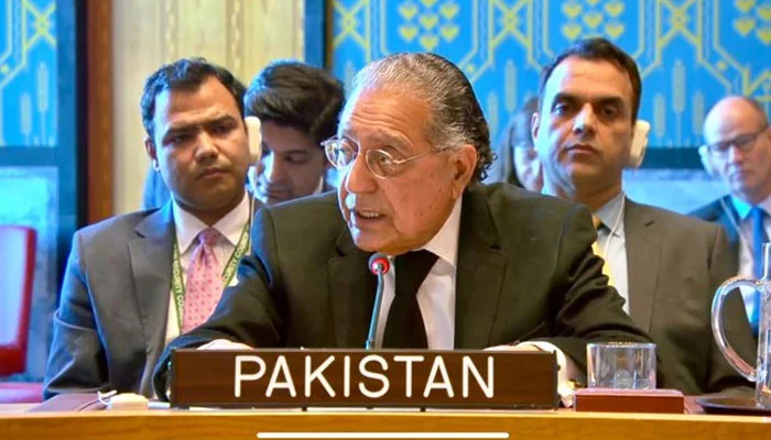 Pakistan Warns UNSC About TTP's Expanding Threat