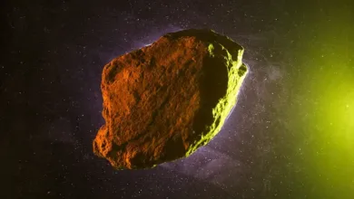 The Rocky Future of Asteroid Mining