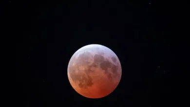 UAE Scientists Develop ‘Moon Dust’ to Advance Lunar Exploration