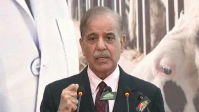 China’s Crucial Role in Pakistan’s IMF Deal and Agricultural Revival