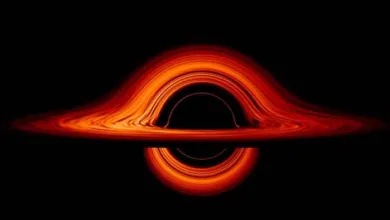 Could Dark Matter Be Behind Early Supermassive Black Holes