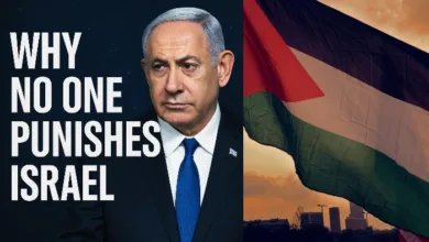 Which International Laws Is Israel Violating? Why No One Punishes Israel?