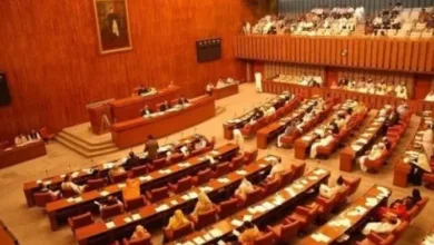 PPP Stages Senate Walkout Over Controversial Canal Project