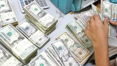 Pakistan's Foreign Reserves Hold Steady Amid External Debt Payments