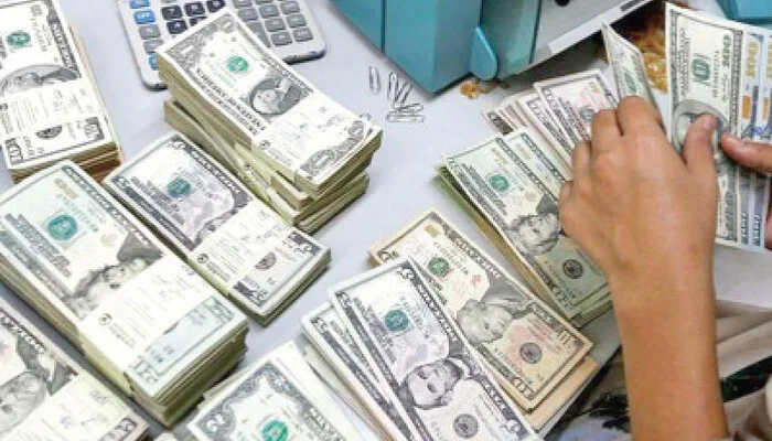 Pakistan's Foreign Reserves Hold Steady Amid External Debt Payments