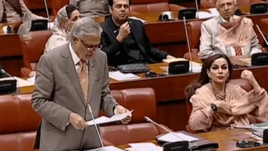 Pakistan’s Senate Rejects India’s Allegations Over Pahalgam Attack
