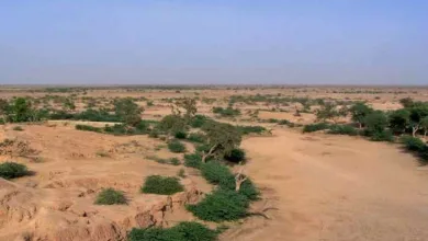Rail Traffic Resumes in Khairpur Amid Rising Tensions