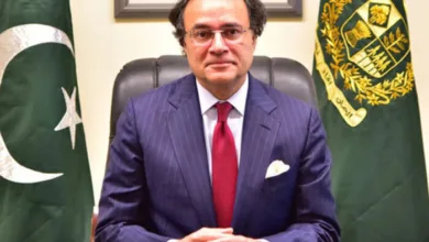 SBP Highlights Sharp Economic Recovery in H1-FY25
