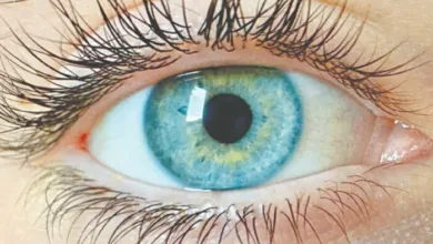 Scientists Claim Discovery of ‘Olo’—A Never-Before-Seen Colour