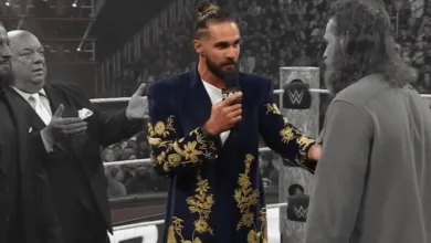 Seth Rollins Turns Heads in $13,500 Velvet Coat by Pakistani Brand Rastah