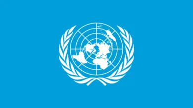 3,000 Aid Trucks Stuck at Gaza Border, Confirms United Nations