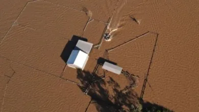 Australia Begins Flood Clean-Up as Death Toll Rises and Homes Destroyed