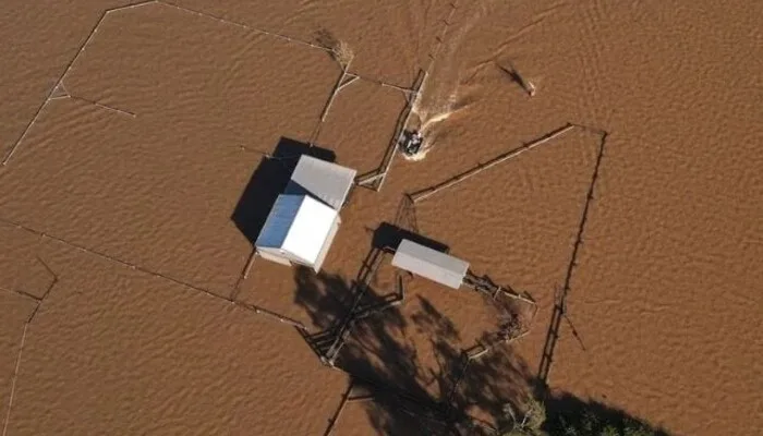 Australia Begins Flood Clean-Up as Death Toll Rises and Homes Destroyed