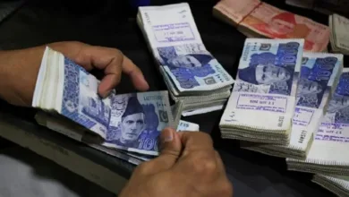 Pakistan Launches Economic Survey 2024–25 Ahead of Budget Announcement