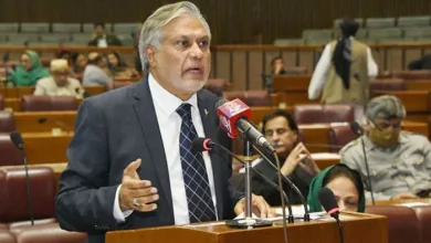Ceasefire Extension to May 18 Dar Reaffirms Pakistan's Commitment to Peace