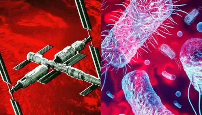 Mutating Bacteria Found on Chinese Space Station
