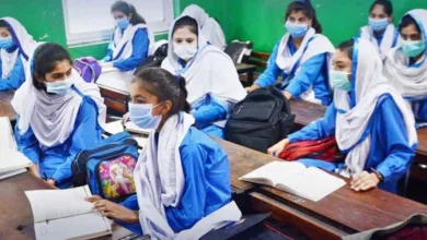 Punjab Education Department Denies Fake Notification About Summer Vacations