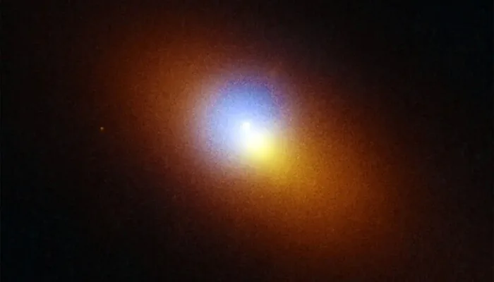Wandering Supermassive Black Hole Caught Devouring a Star