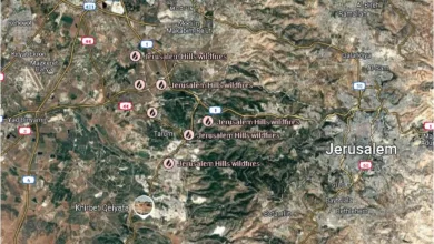 Over 5,000 Acres Burn Near Jerusalem, Dozens Injured