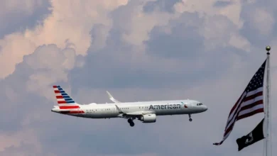 American Airlines Flight Makes Emergency Landing After Engine Smoke