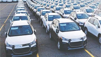 China’s Rare Earth Curbs Disrupt Global Auto Supply Chains