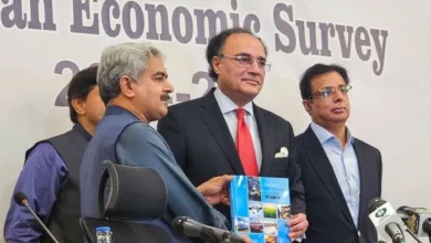 Economic Survey Highlights Hopeful GDP Outlook Despite Challenges