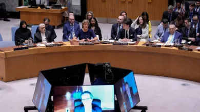 Global Divide at UNSC as Israeli Strikes on Iran Spark Outrage