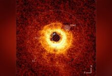 James Webb Telescope Captures First Image of Distant Exoplanet