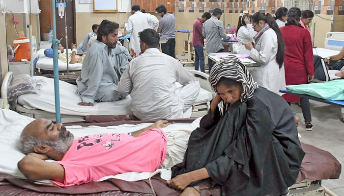 Karachi Records Pakistan’s First Congo Virus Death of 2025