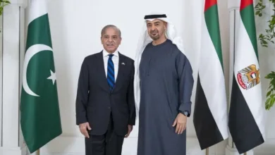 PM Shehbaz, UAE President Reaffirm Strategic Ties Amid Challenges