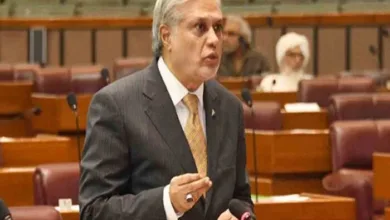 Pakistan Senate Tables Joint Muslim Condemnation of Israeli Aggression