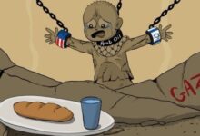 The Dark Reality of Humanitarian Crisis in Gaza