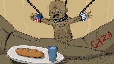 The Dark Reality of Humanitarian Crisis in Gaza