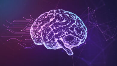 Brain Waves Mapped Like Never Before in Stanford Breakthrough