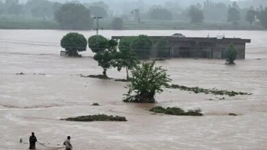 Deadly Monsoon Floods Wreak Havoc Across Pakistan