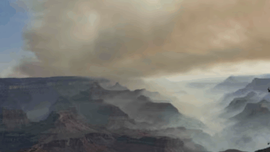 Firefighters ,Arizona , intense wildfires, North Rim ,National Park, Grand Canyon