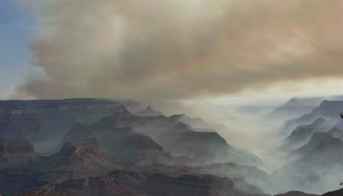 Firefighters ,Arizona , intense wildfires, North Rim ,National Park, Grand Canyon
