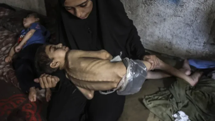 Gaza Aid Just a 'Drop in the Ocean' Amid Growing Humanitarian Crisis