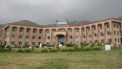 Girls Shine in Malakand Board Matric Results 2025