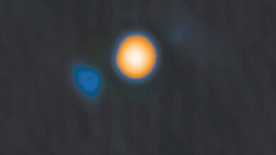 Hidden Companion Star Discovered Near Betelgeuse