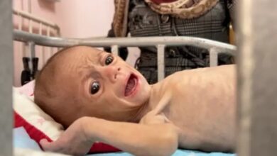 Israel Maintains Ban on Baby Milk Entry into Gaza