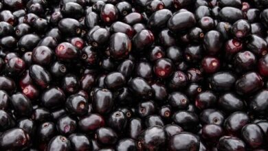 Jamun Seed Powder Emerges as Natural Ally in Diabetes Management