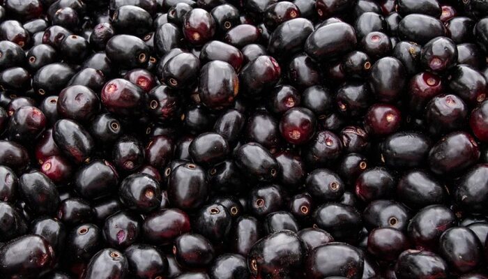Jamun Seed Powder Emerges as Natural Ally in Diabetes Management