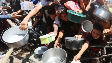Over 1,000 Killed Seeking Food in Gaza UN Reports